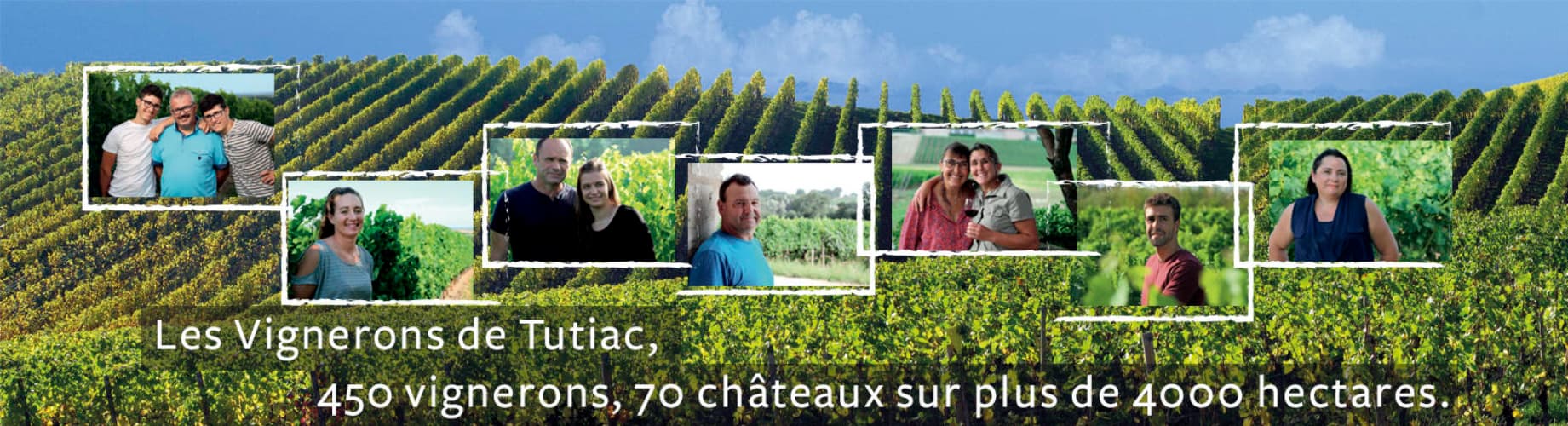 Créée en 1974, la coopérative Tutiac regroupe 170 collaborateurs, 16 appellations de vins de Bordeaux et 450 vignerons répartis de Blaye à Sauternes, en passant par Bourg, Fronsac, le Médoc et les Graves... | www.tutiac.com